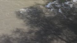 Жителей и гостей курорта приглашают на субботник в Ессентуках 12 апреля