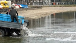 Первые 350 кг рыбы запустили в озеро Ессентуков 