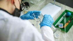 Ставропольские учёные создадут продукт с антиоксидантными свойствами