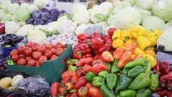 24 мая пройдёт продуктовая ярмарка в Ессентуках