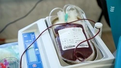 Донорская акция пройдёт в Ессентуках 16 октября