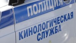 Лицей № 6 в Ессентуках эвакуировали из-за угрозы теракта