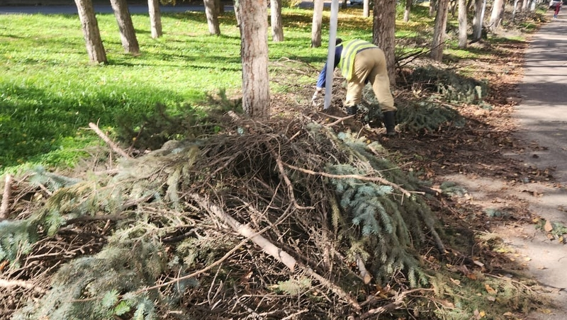 Шесть «КАМАЗов» веток убрали с улицы 60 лет Октября в Ессентуках