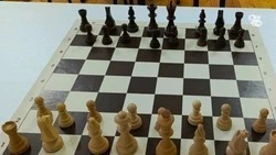 Ессентучане завоевали призовые места на краевом турнире по шахматам