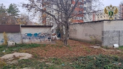 Прокуратура Ессентуков вернула незаконно сданный участок