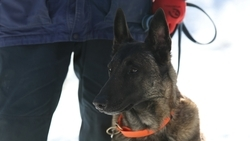 Школы №3 и №4 проверяют после сообщений о минировании в Ессентуках