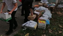 Школьники собрали почти 200 кг макулатуры на экоакции в Ессентуках