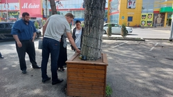 Зелёную зону на парковке в Ессентуках расширят