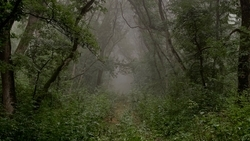 Волонтёры-пенсионеры организовали субботник в Ессентуках 