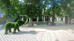 Качели и топиарный слон: Новый сквер скоро откроется в Ессентуках — фоторепортаж