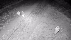 Героев, спасших провалившегося под лёд мужчину, ищут в Ессентуках