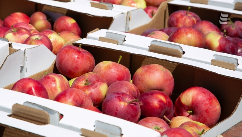 Яблочный спас отметили во всех храмах в Ессентуках