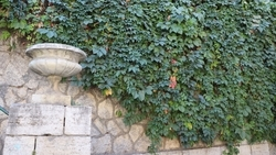 В Ессентуках в 2023 году планируют привлечь более 157 млн рублей курортного сбора