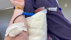 Сдать кровь можно будет в Ессентуках 8 апреля