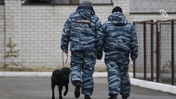 Информацию о возможном минировании лицея №6 проверяют в Ессентуках 