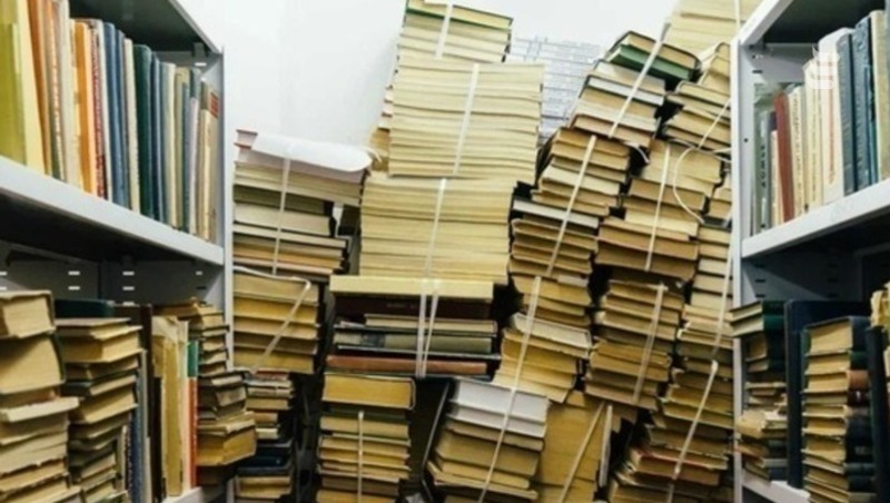 Как школьникам осилить список литературы за лето, рассказали библиотекари Ставрополья 