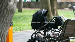 Семейный конкурс «Парад колясок» проведут в Ессентуках 7 июля