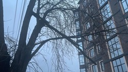 Последствия сильного ветра устраняют в Ессентуках 18 декабря