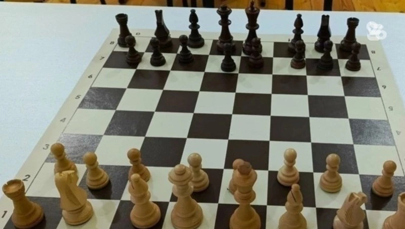 Первые на Ставрополье соревнования по шахбоксу пройдут в Ессентуках