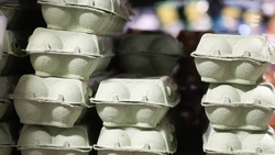 ФАС Ставрополья завела дело на производителей куриных яиц