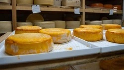 Фестиваль вина и сыра пройдёт в Ессентуках 3-5 июля