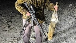 Сезон охоты на пушных животных завершился в Ставропольском крае