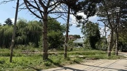 Ессентукский сквер на Королёва временно закрыли из-за работ по благоустройству