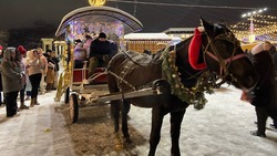 Конь Добрыня катает детей в Новый год в Ессентуках  