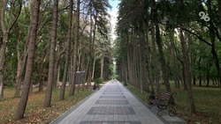 Парки обрабатывают от клещей в Ессентуках