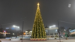 Огни зажгли на главной ёлке в Ессентуках