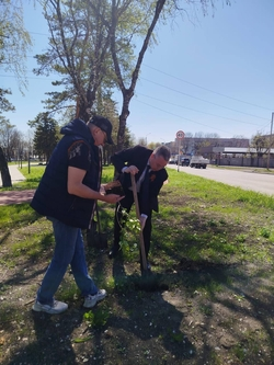 Губернатор поучаствовал в субботнике и высадил сирень ко Дню Победы в Ессентуках