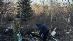 За месяц с городского кладбища Ессентуков вывезли 57 кубометров мусора