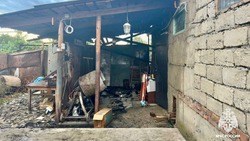 Огнеборцы ликвидировали пожар в хозпостройке в Ессентуках