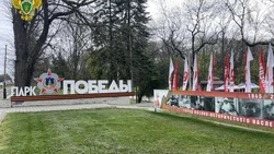 Прокуратура отменила разрешение на рубку деревьев в парке Победы в Ессентуках