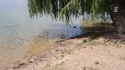 Озеро чистят от водорослей в Ессентуках