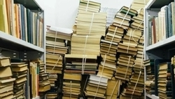 Как школьникам осилить список литературы за лето, рассказали библиотекари Ставрополья 