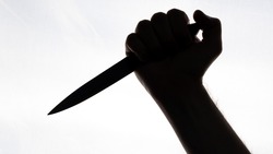 Житель Предгорья напал на полицейского в Ессентуках