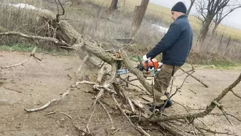 Ставропольские лесхозы начали весеннюю уборку в лесополосах