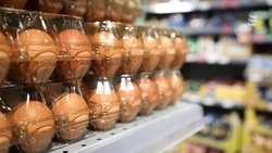 Дополнительные ярмарки проведут на Ставрополье по поручению губернатора