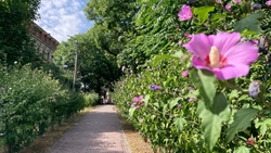 Саудовские инвесторы могут построить санаторий на Ставрополье