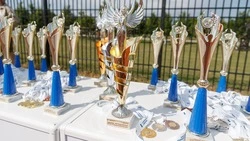 Школьники Ессентуков завоевали медали на краевых соревнованиях по карате